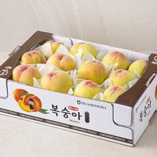 황소고을 청도 황도복숭아, 3kg(12내), 1개