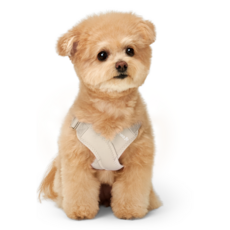 Neo FIT. 狗狗 Air X 胸背帶, 米色, 1個