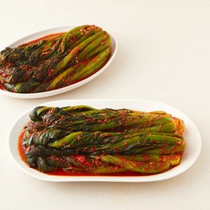 바른테이블 여수 돌산 갓김치, 5kg, 1개