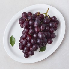 다조은 호주산 씨없는 적포도, 1개, 900g