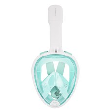 Diveepro 極限全罩式浮潛面鏡, 綠色
