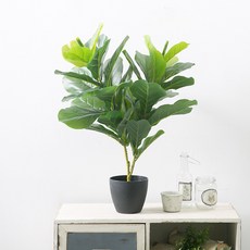 마쉬매리골드 인테리어 조화나무 65cm, 떡갈고무나무, 1개