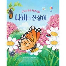 好奇心噗通噗通 自然觀察 蝴蝶的一生, 韓國奧斯本, 無