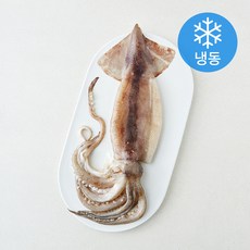 오바다 원양산 통오징어 (냉동), 1개, 300g(왕특)