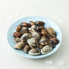 국내산 효성푸드주식회사 갯마을 생 바지락 (냉장), 1개, 500g