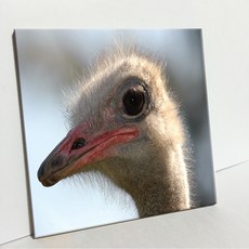 UDP 瓷磚相框 單品 A型 3919467, 白色素面