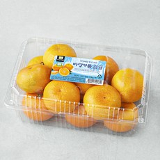 바당바름 GAP 인증 10brix 감귤, 1.5kg(대과), 1개