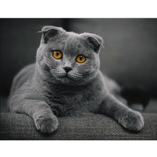 알로데 러시안블루 고양이 DIY 보석십자수 벽장식 30 x 40 cm, NO 01, 1개