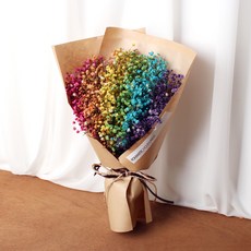 浪漫 Novaver 永生花噴霧花束 小, 彩虹