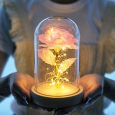 라알레그리아 LED 눈꽃 장미 유리돔, 핑크