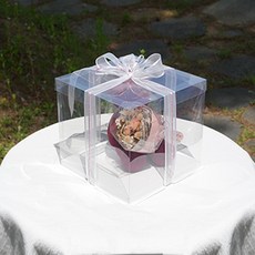 DesignPackage 2層 2號 蛋糕盒, 10個, 透明