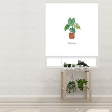 델리시오사그림 실사 롤스크린 암막원단