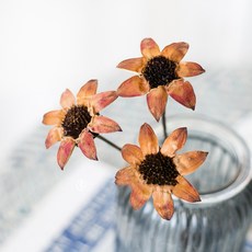 GAPANG 玫瑰乾花 DRYB131, 橙色數字 01