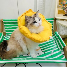 PASTEL PET 寵物柔軟花朵頸圈, 黃色, 1個