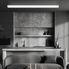 원하 LED DS 에스파 몰딩형 직부 천장등 플리커프리 주광색 40W T10 1200, 화이트(유광)