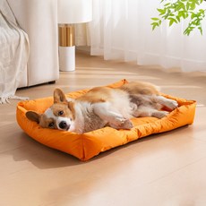랜보어 반려동물 베이직 방수 쿠션, 오렌지, 1개