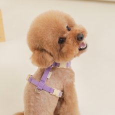 Hitjji 頸部扣環狗狗胸背帶, 糖果紫色