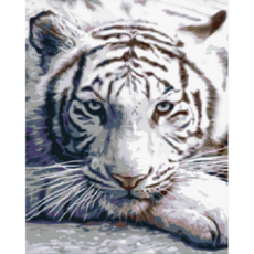 Momofix Painting DIY名畫繪製 40 x 50 cm, 白虎