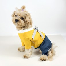 Grooming Dog 狗狗鮮豔蝴蝶裝飾韓服, 連身衣