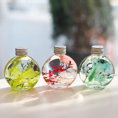 乾燥花裝飾 A 3種組+燈光, 紅色混合，藍色混合，綠色混合