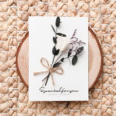 Lasalt 永生花卡片 + 透明外殼套組, 白星, 2個