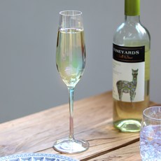 TINNY BLANC 亮彩香檳杯, 4個, 235ml