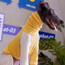 狗狗Grada連身衣, 芒果黃, 1個