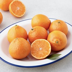 PSK 큐티 만다린, 700g, 1개