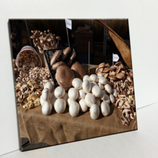 HTP 瓷磚 C2555 市場裡的蘑菇