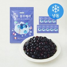 웰프레쉬 페루산 블루베리 (냉동), 10개, 1kg