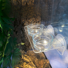 Lemongcreef 爬蟲類 睫角守宮 吸盤式 附著式 飼料水碗 2孔吸盤, 1個, 單一顏色