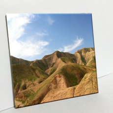 HTP 磁磚 以色列沙漠的春天 C2335