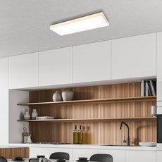 원하 DO 리츠 LED25W 주광색 플리커프리 주방등 조명 천장등, 화이트 + 주광색