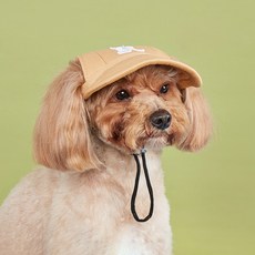 파스텔펫 반려동물 패치 포인트 캡모자, 베이지, 1개