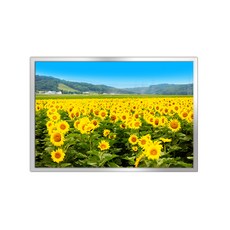 鋁製相框 + Money Flower D款海報套組, 銀色, 1個