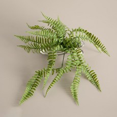 綠色窗簾夾 30cm, 1個, 博薩