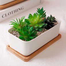 Morningscent 早晨香氣DIY沸石多肉花假花組 B型, B2, 1組