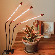 brui LED植物生長燈, 1個