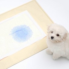 Waggly 狗狗防滑尿布墊, 淺褐色, 1個