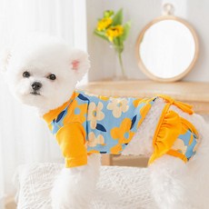 carno 寵物花疹防護套組, 黃色的