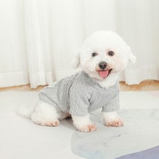 파스텔펫 반려동물 럭키베어 짜임 니트, 그레이, 1개
