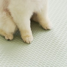 LIFANG 반려동물 미끄럼방지 매트 폴딩타입 8칸, 애플민트, 1개