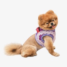 RealPet 狗狗網眼蕾絲胸背帶, 紫色