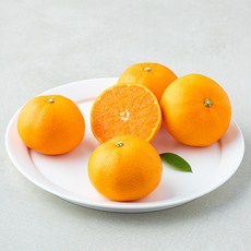 홀푸드제주 천혜향 랜덤과, 1개, 1kg