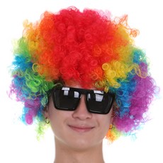 파티공구 점보 파티 가발, 혼합, 1개
