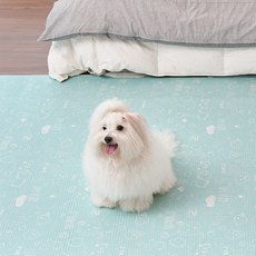 리꾸 8단폴더 양면 펫매트, 구름민트 + 패브릭그레이, 1개