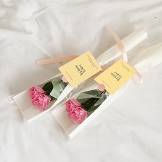 아스파시아 메시지 2p + 조화 플르 카네이션 한송이 비누 꽃다발 2p 세트 졸업 축하해 수고했어!, 핑크, 2개