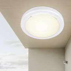 원하 EL 유백 원형 직부등 플리커프리 LED15W, 화이트 + 주백색, 1개