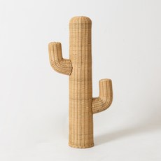 esopoom 小刺藤仙人掌 04929B, 自然原色