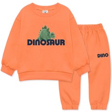 Little rabbit 兒童春秋款恐龍上衣褲子套裝